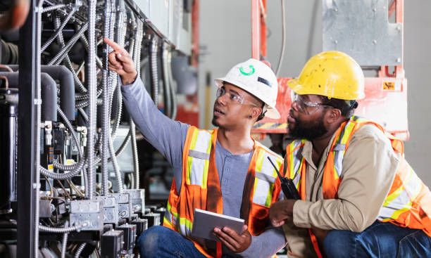 Best Electric Panel Repair  in Schleswig, IA