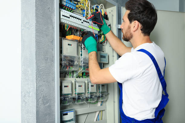 Best Electrical System Inspection  in Schleswig, IA
